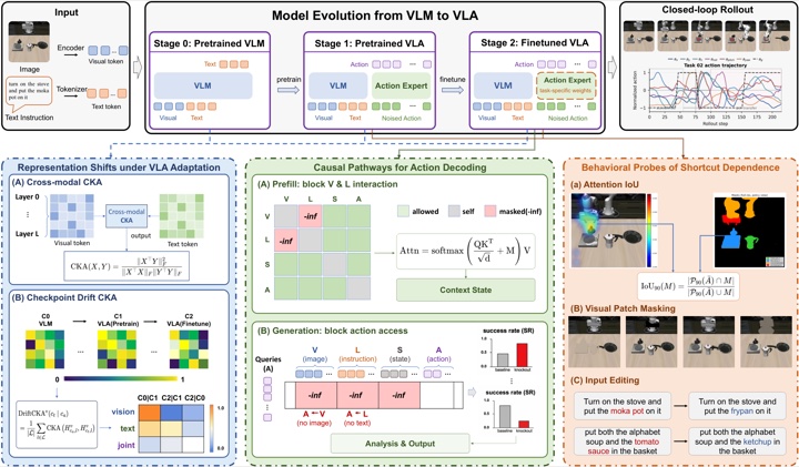 VLA-Trace representation, causal pathway and behavior probes